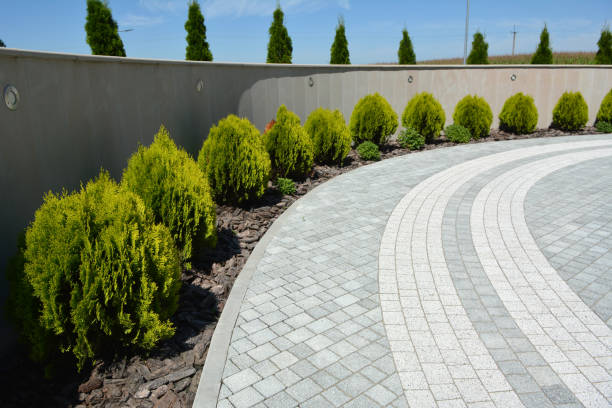 Best Commercial Driveway Pavers  in Waimea, HI